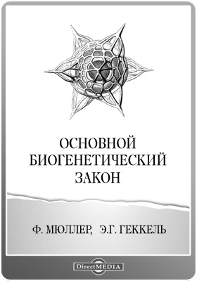 Kraken смылка