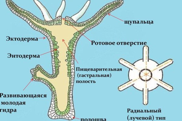 Кракен магазин krakens13 at